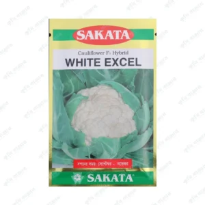 হোয়াইট স্কেল - ফুলকপি ( ১০ গ্রাম )- SAKATA Cauliflower F1 Hybrid White Excel