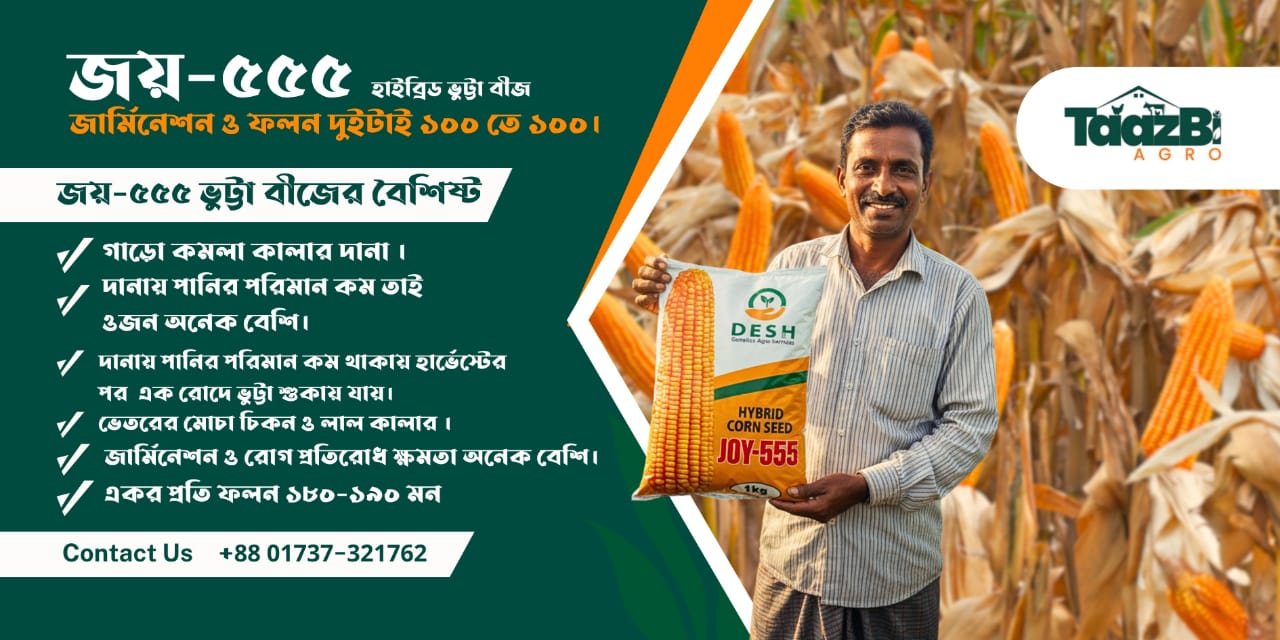 WhatsApp Image 2025-11-02 at 13.25.52 (1)