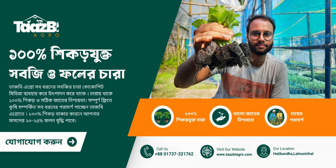 WhatsApp Image 2025-11-02 at 13.25.52